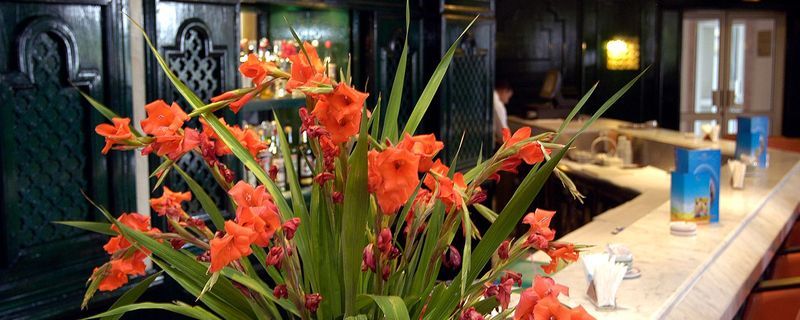 Royal Azur Thalasso Golf 함마메트 외부 사진